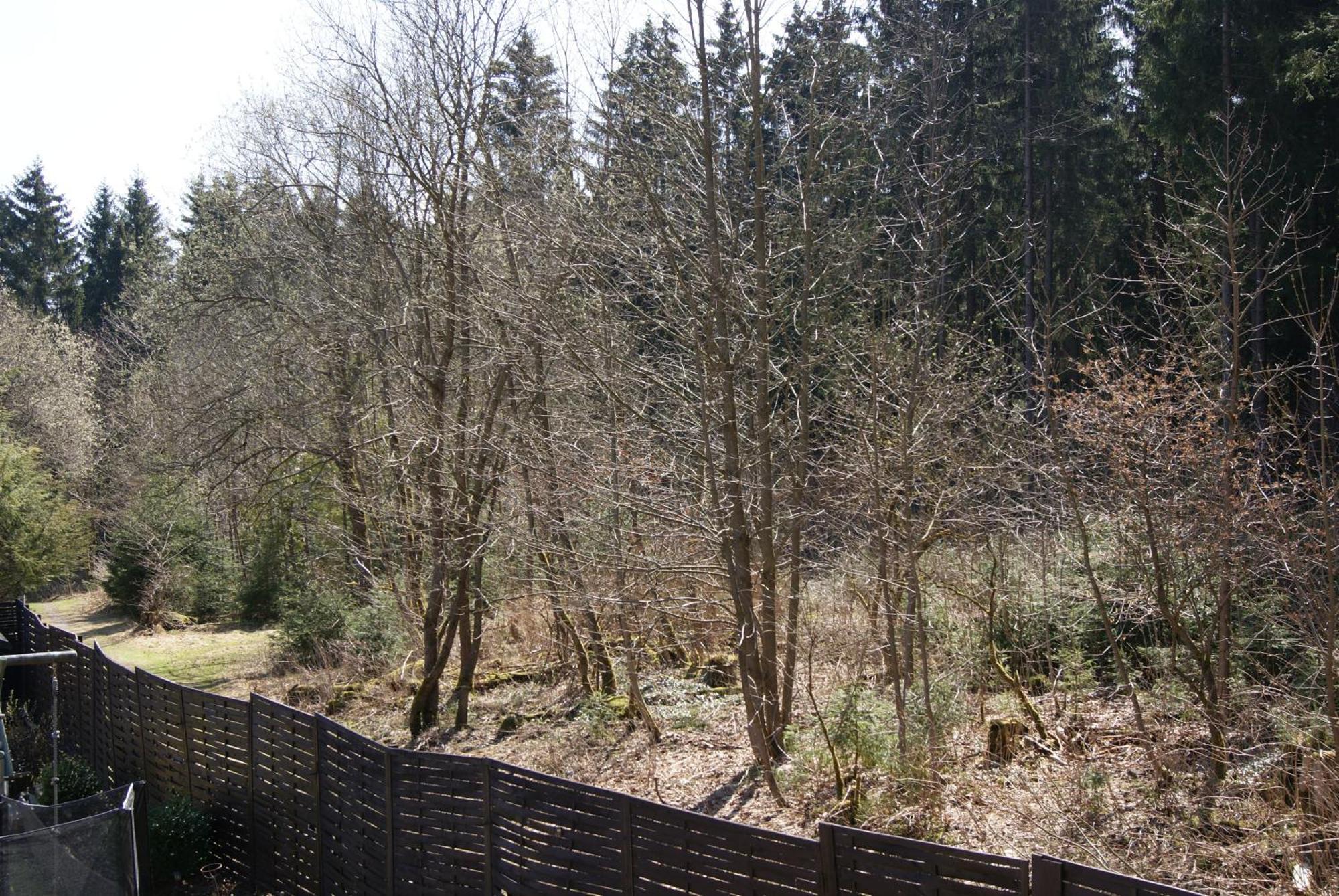 Ferienwohnung Schmidt Braunlage Room photo